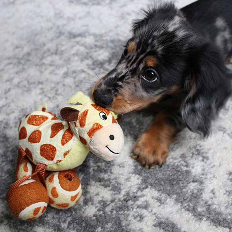 KONG TenniShoes Giraffe - Large-1