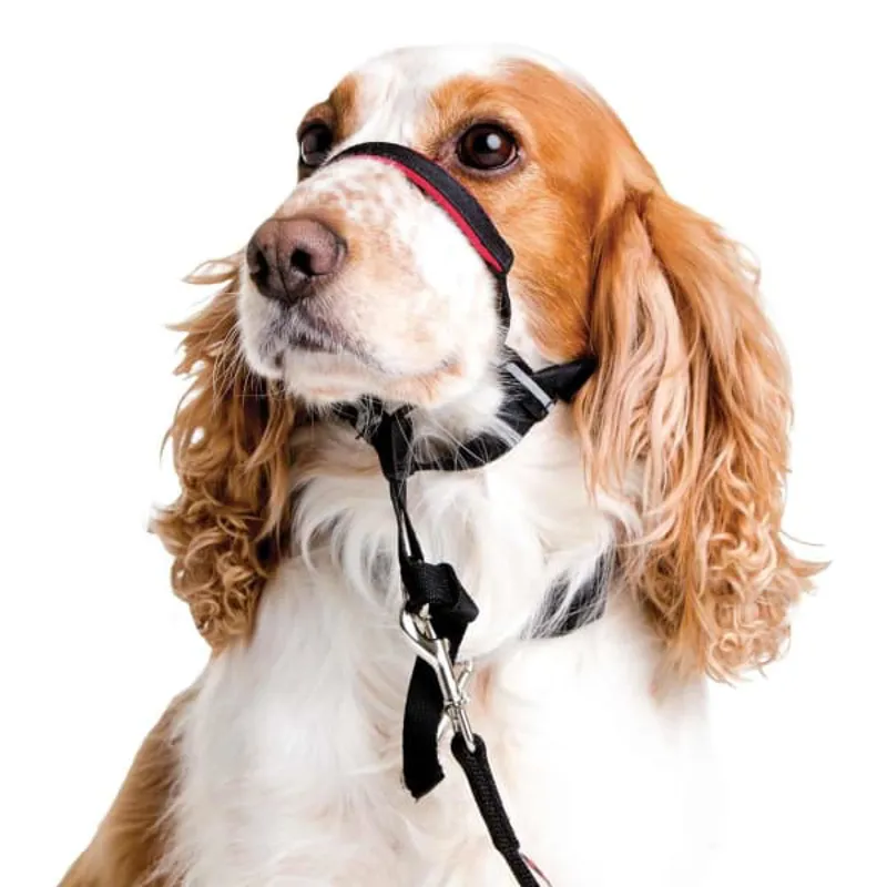 Halti OptiFit Headcollar - Black-1