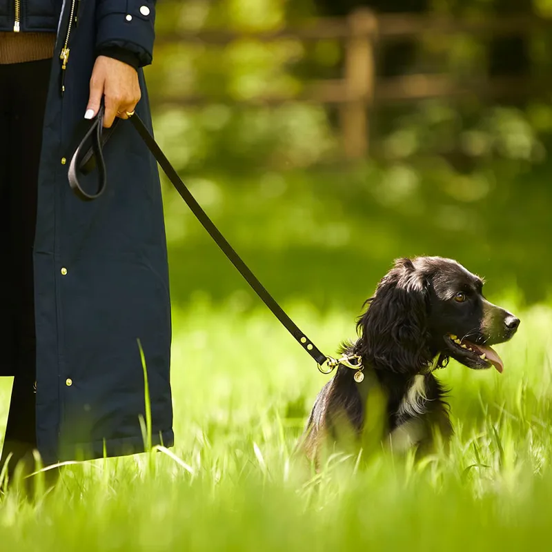 Holland Cooper Classic Dog Lead - Black-1