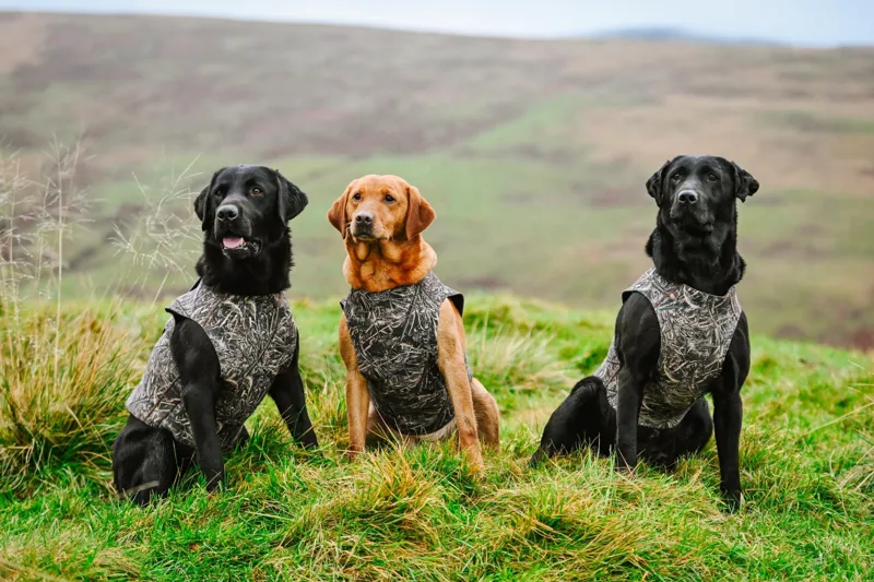 Sporting Saint Neoprene Dog Vest - Khaki-2