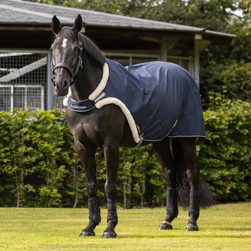 LeMieux Walker Rug - Navy