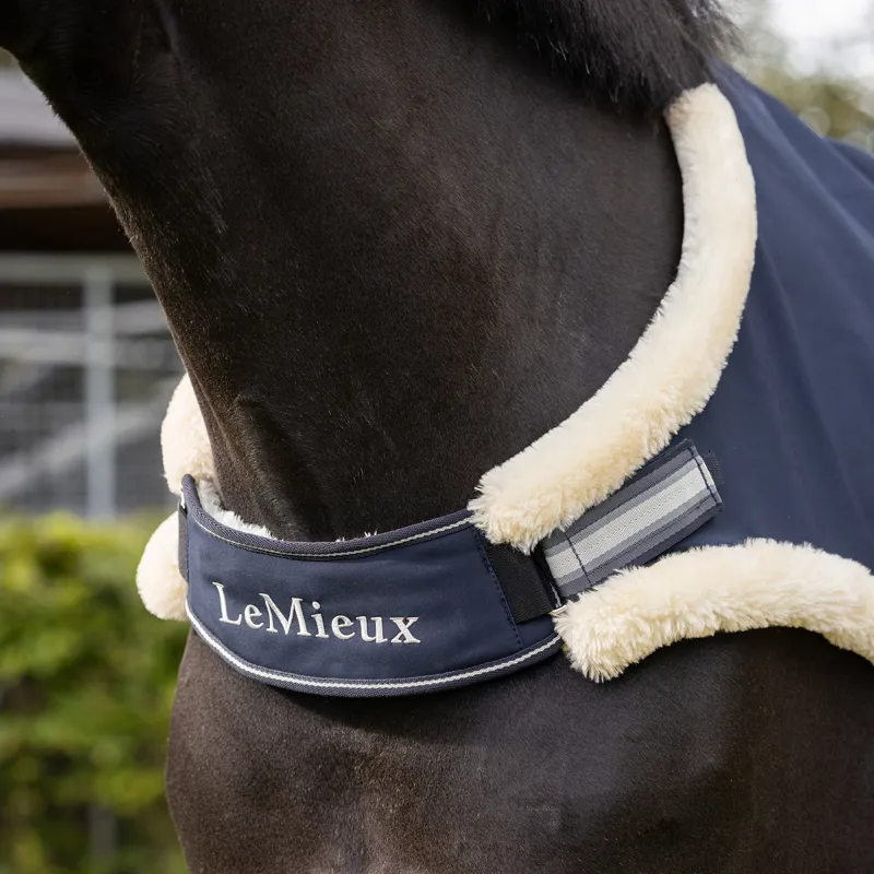 LeMieux Walker Rug - Navy-2