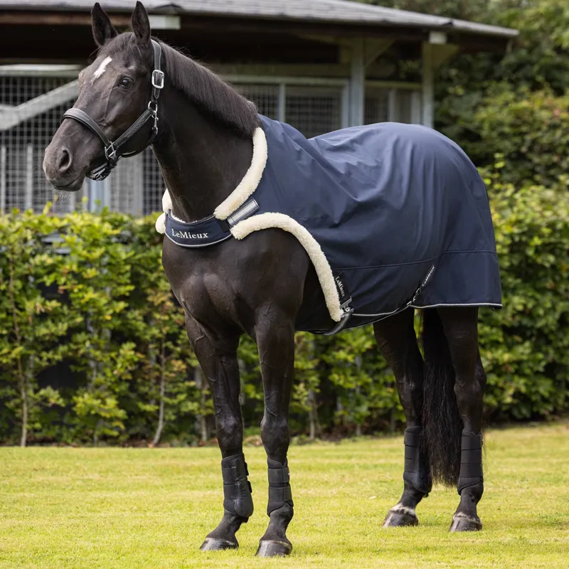 LeMieux Walker Rug - Navy-1