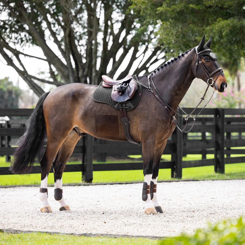 LeMieux ProSorb 2 Pocket GP Square - Black-1