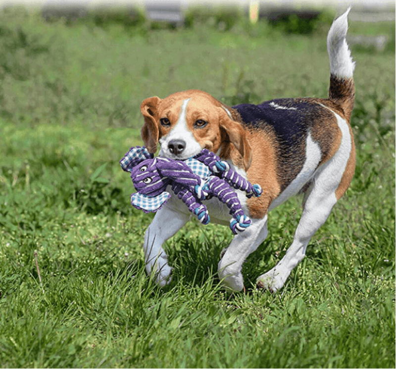 KONG Floppy Knots - Elephant-1