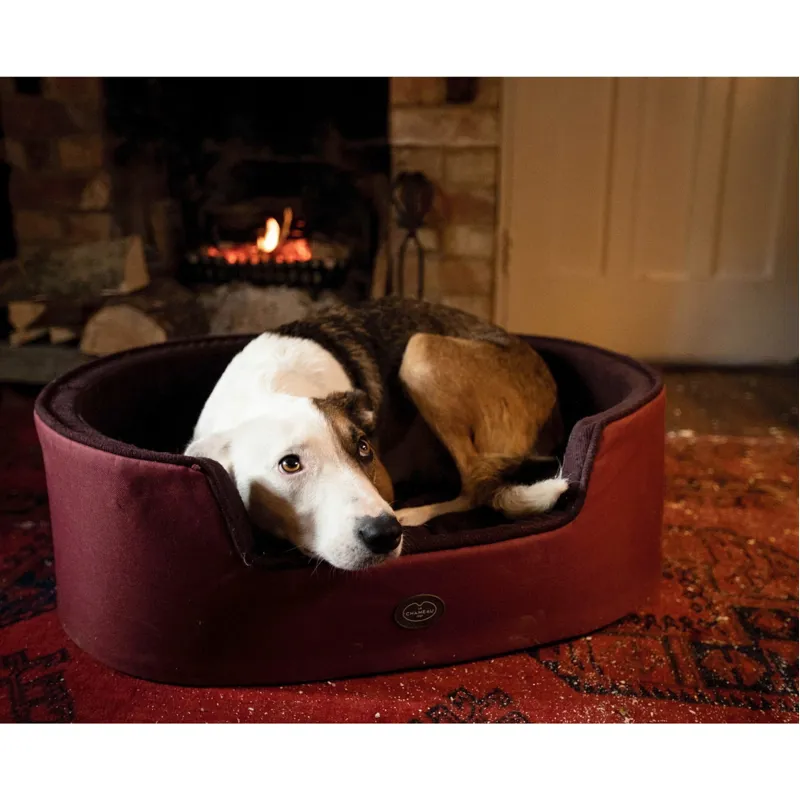 Le Chameau Dog Bed Rouge