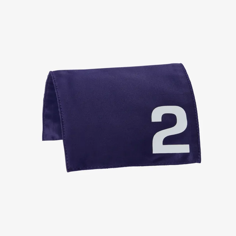 LeMieux Toy Pony Racing Cloth and Hood-2