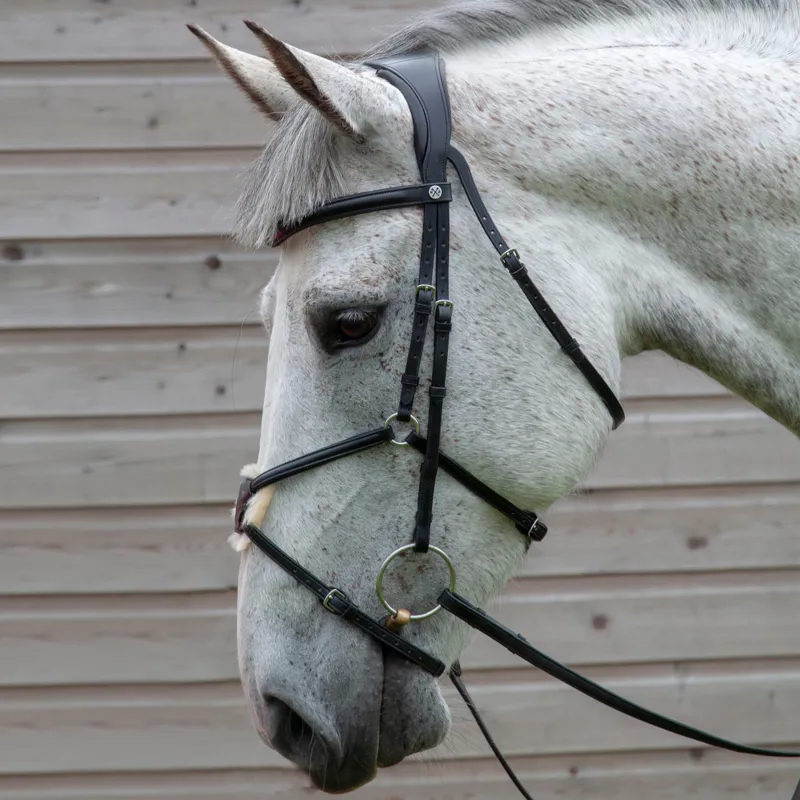 Henry James Saddlery Mexican Grackle Bridle - Black-2