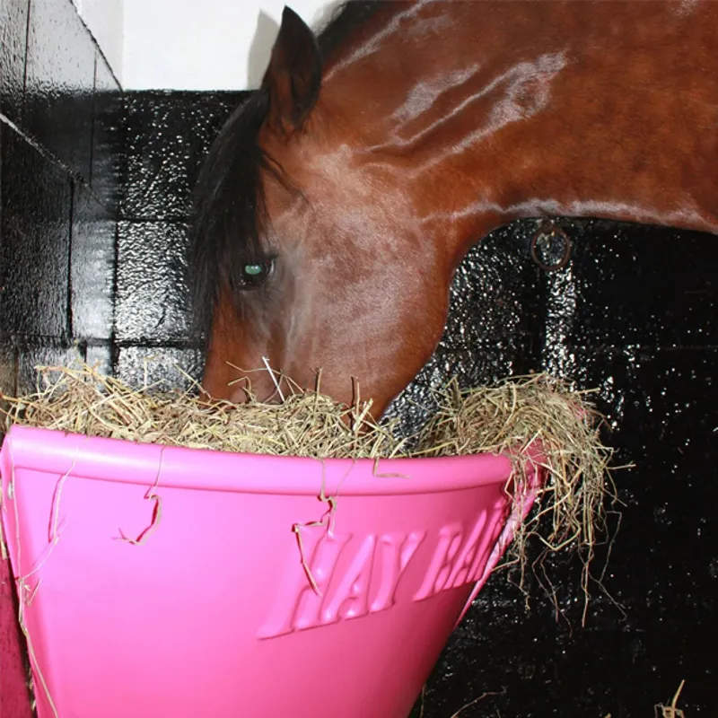 Pony Hay Bar Feeder - Pink
