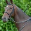 Hy Equestrian Hunting Breastplate - Black