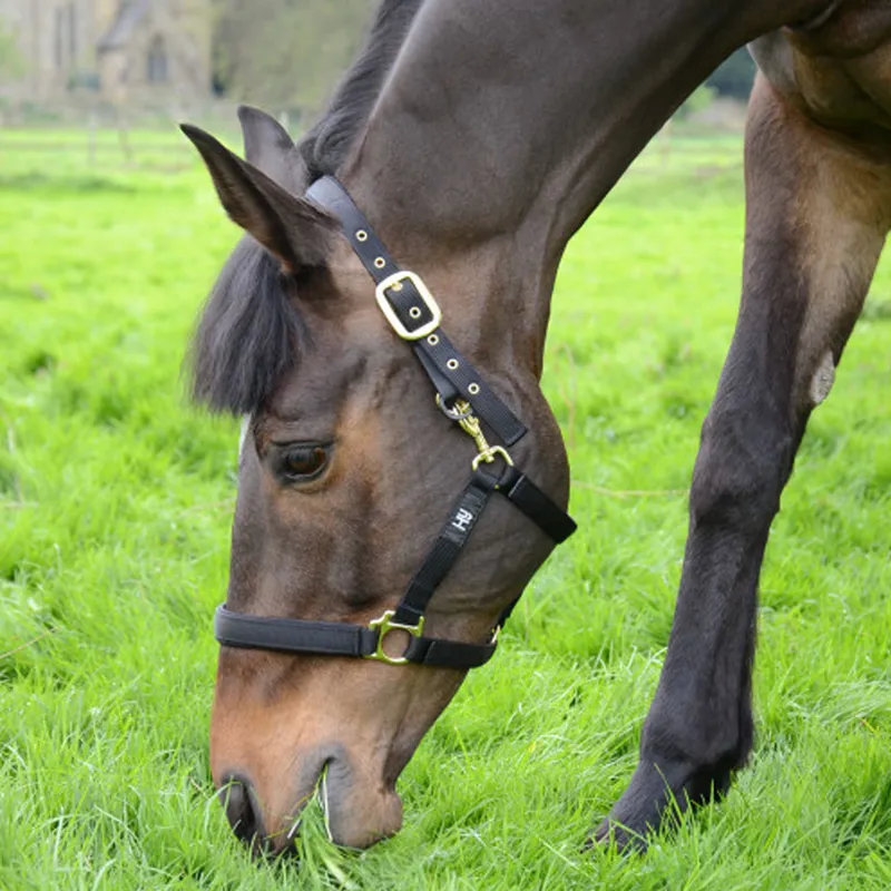 Hy Fieldsafe Head Collar in Black-1