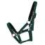 Hy Equestrian Fieldsafe Head Collar - Green