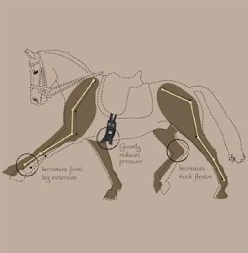 Fairfax Short Event Girth Narrow Gauge - Brown-1