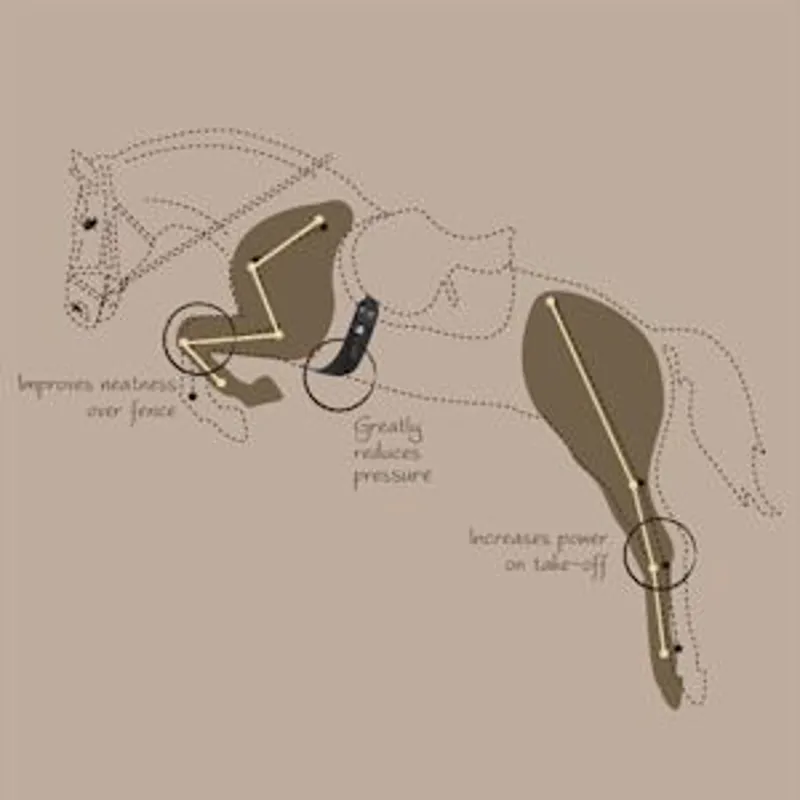 Fairfax Short Event Girth Narrow Gauge - Brown-2