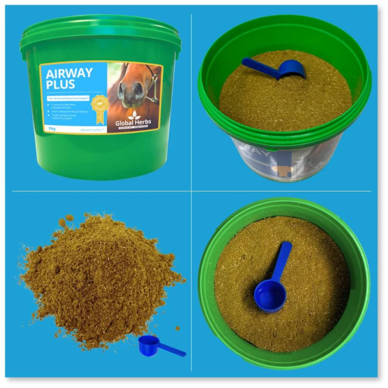 Global Herbs Airway Plus Powder - 1kg-2