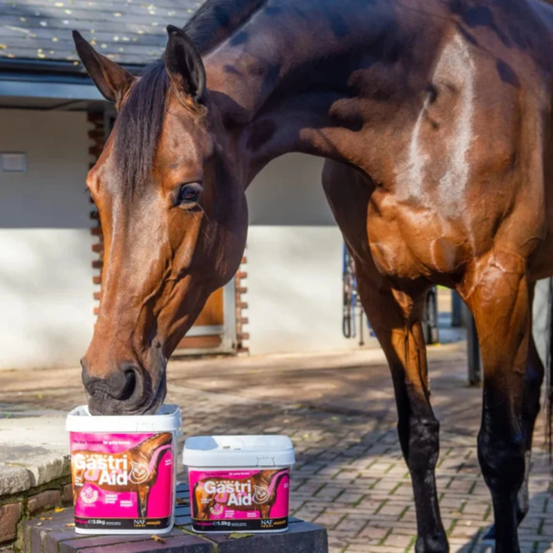 NAF Five Star GastriAid - 1.8kg-2