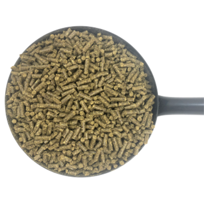 Dodson and Horrell Staypower Cubes - 20kg-1