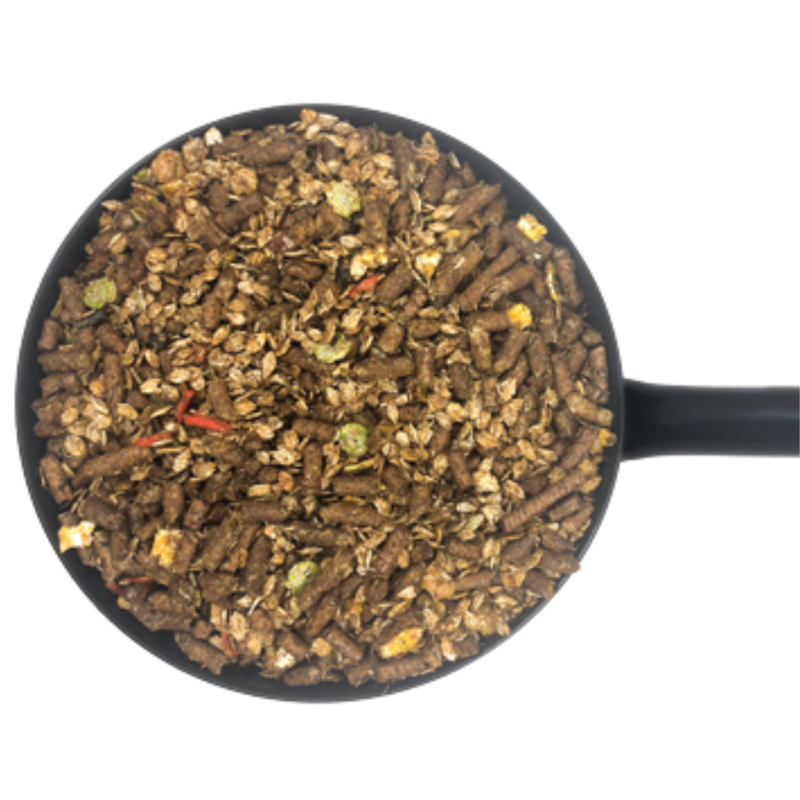 Dodson and Horrell Pasture Mix - 20kg-1