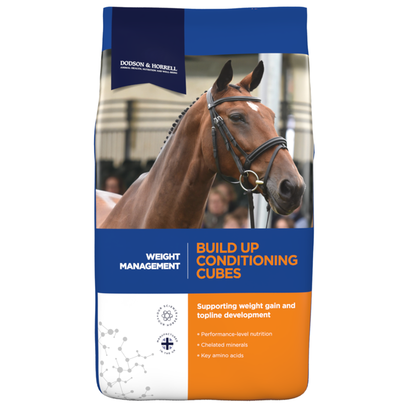 Dodson and Horrell Build Up Conditioning Cubes - 20kg
