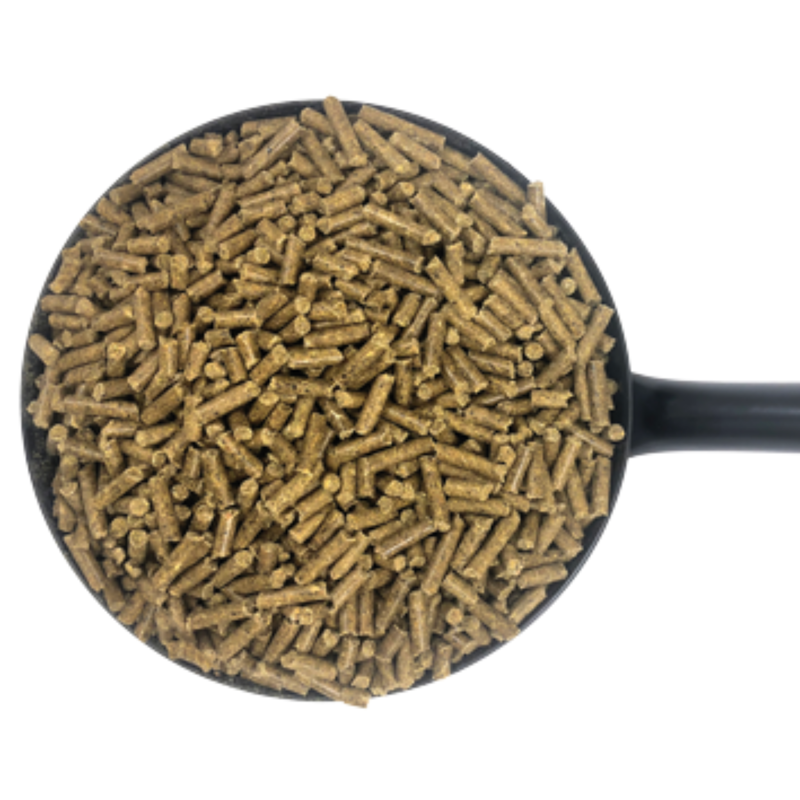 Dodson and Horrell Build Up Conditioning Cubes - 20kg-1