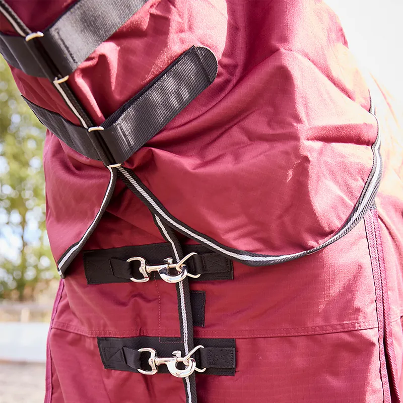 R and R Burghley 100g Detachable Neck Turnout Rug -1