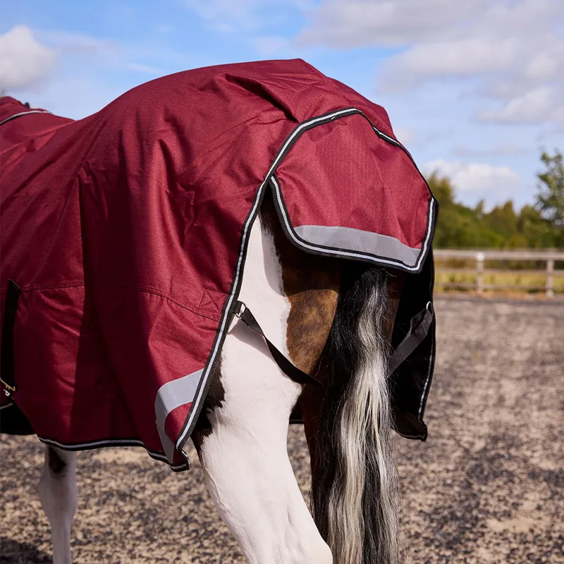 R and R Burghley 100g Detachable Neck Turnout Rug -6