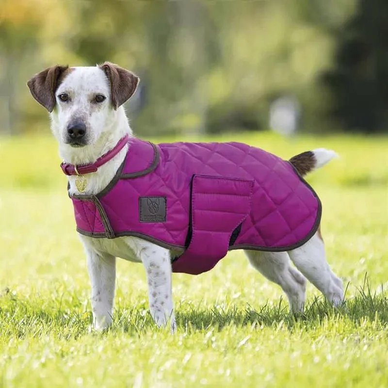 Digby and Fox Quilted Dog Coat Raspberry
