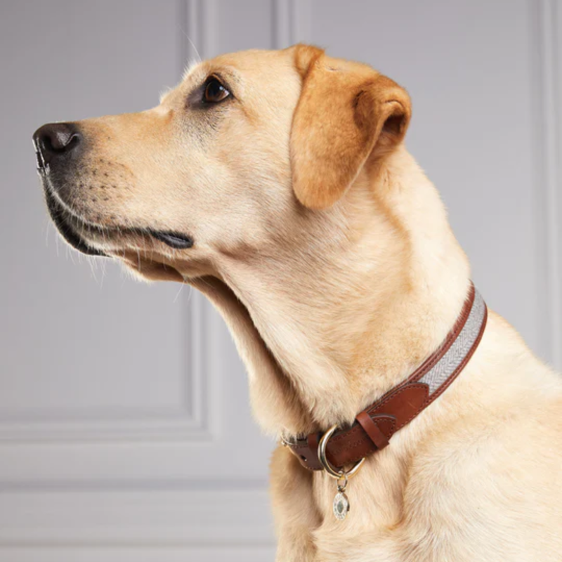 Holland Cooper Classic Dog Collar - Chestnut Tweed-3