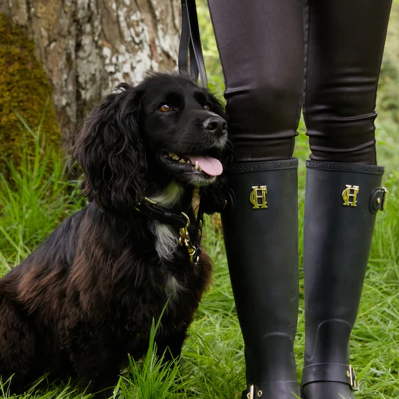 Holland Cooper Studded Dog Collar - Black-2