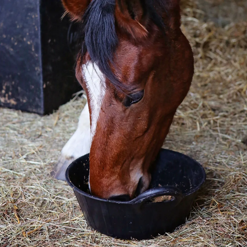 Saracen Recovery Mash - 1.5kg Travel Pouch-3