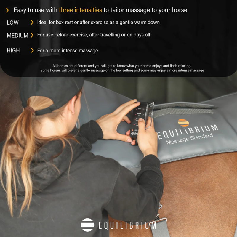 Equilibrium Massage Pad-7