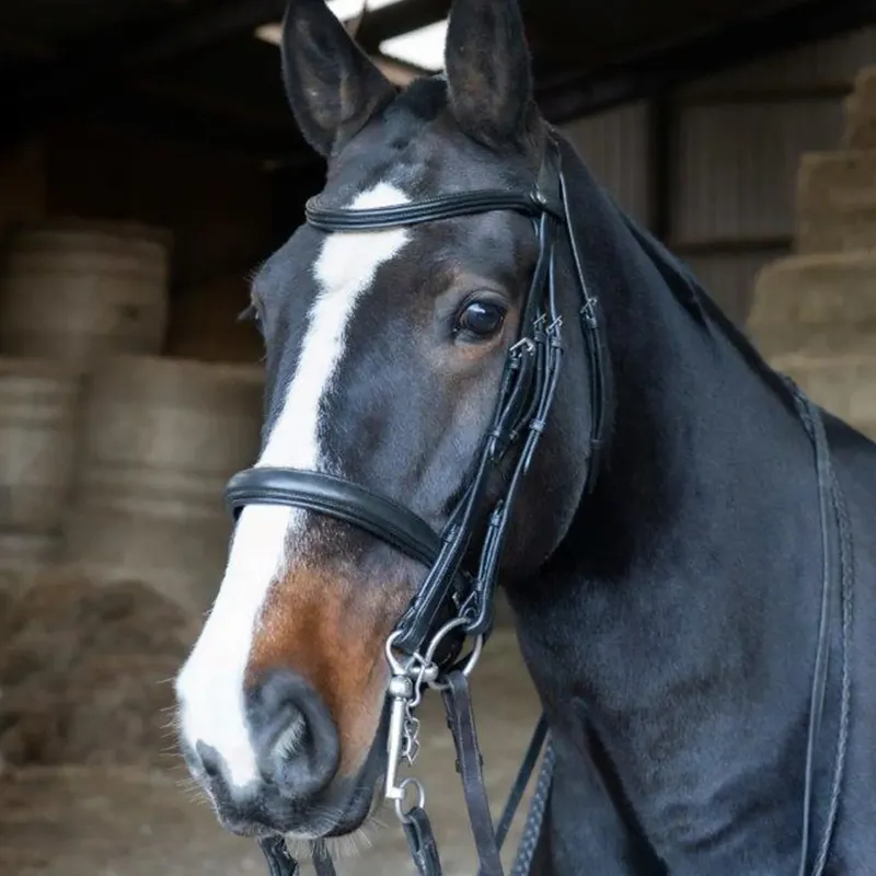 EcoRider Freedom Double Bridle - Black