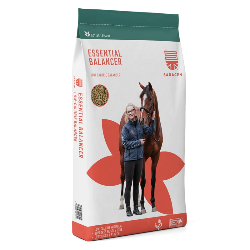 Saracen Essential Balancer - 20kg