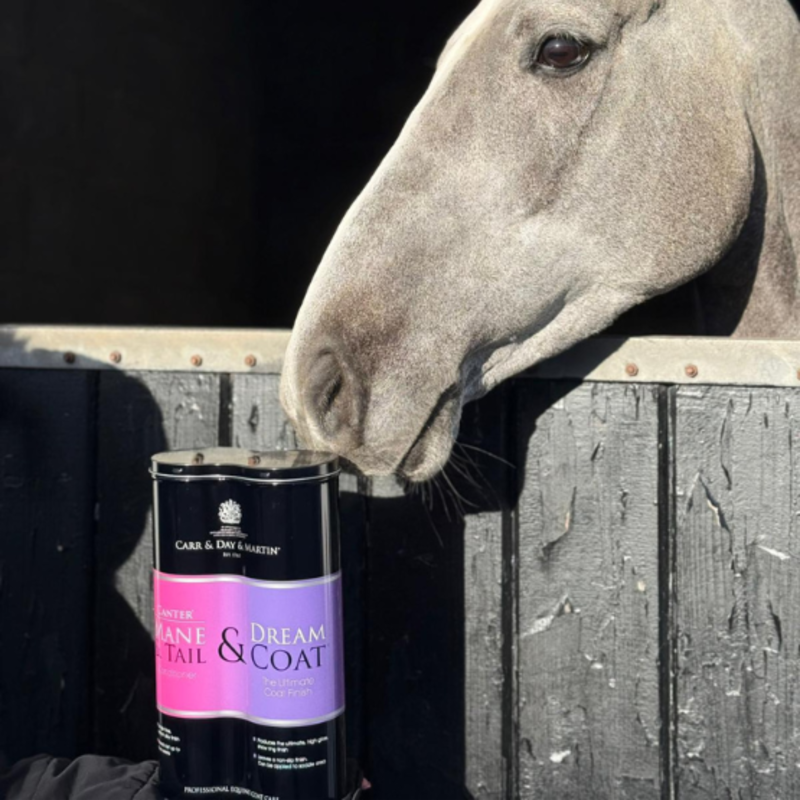 Carr Day Martin Ultimate Grooming Duo - 2 x 500ml-1