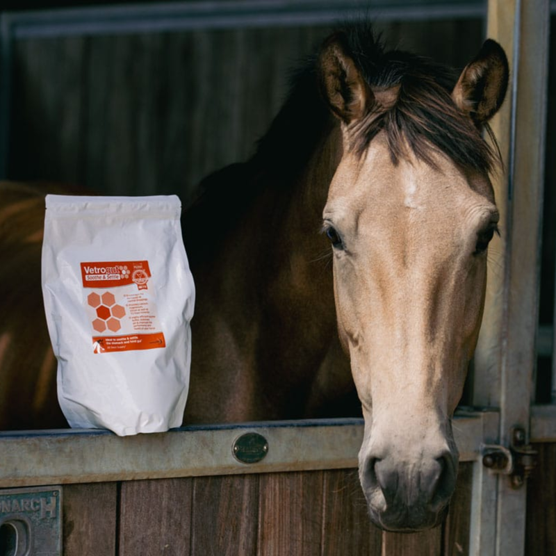 Animalife Vetrogut Soothe and Settle - 1.5kg-2