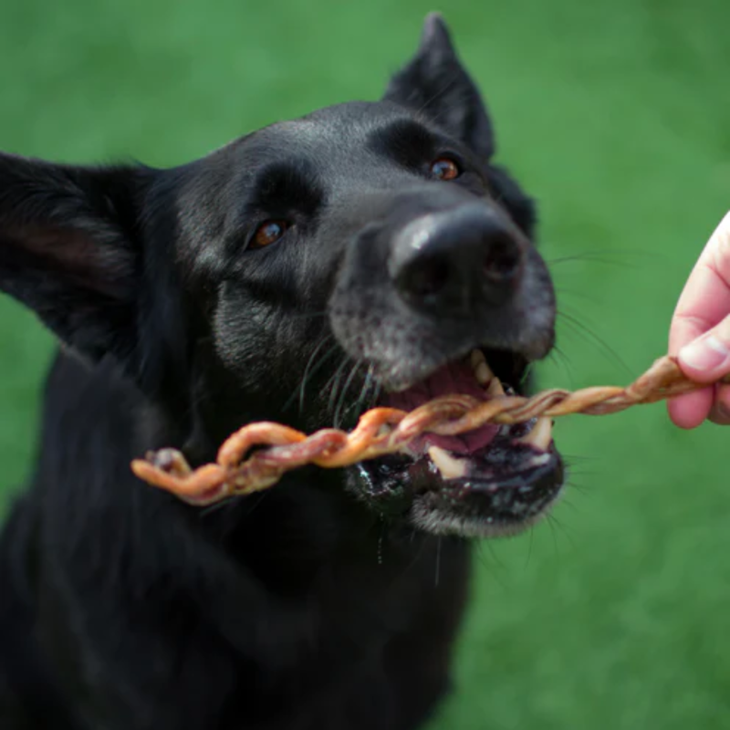 JR Pet Products Lamb Pizzle Twists-1