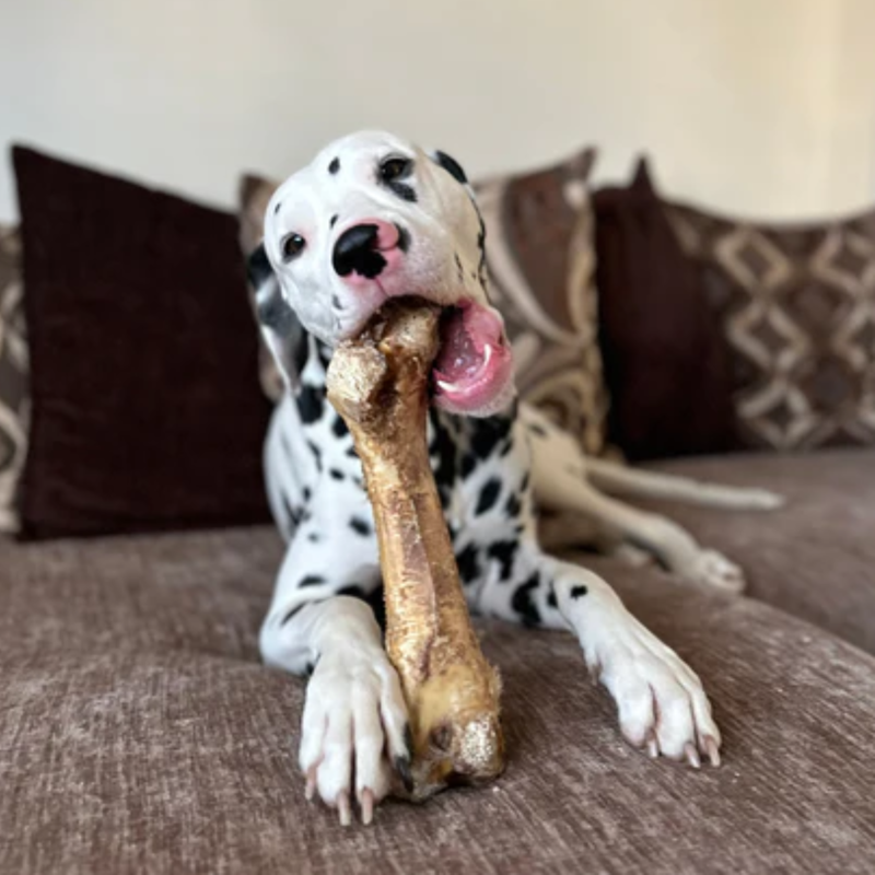 JR Pet Products Ostritch Bone-2