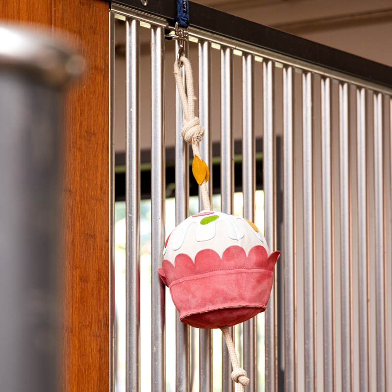 LeMieux Horse Toy - Cupcake-3