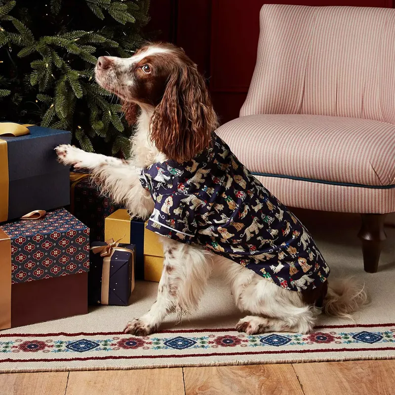 Joules Festive Dog Pyjamas-3
