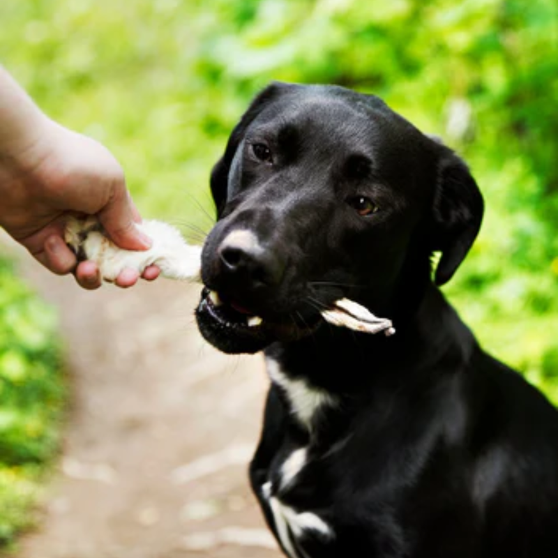 JR Pet Products Rabbit Ears with Fur - 1kg-1