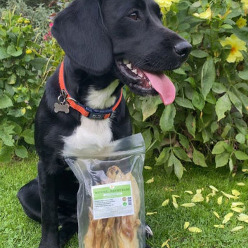 JR Pet Products Rabbit Ears - 1kg-1