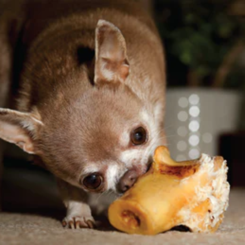 JR Pet Products Ostrich Knee Knuckle-2