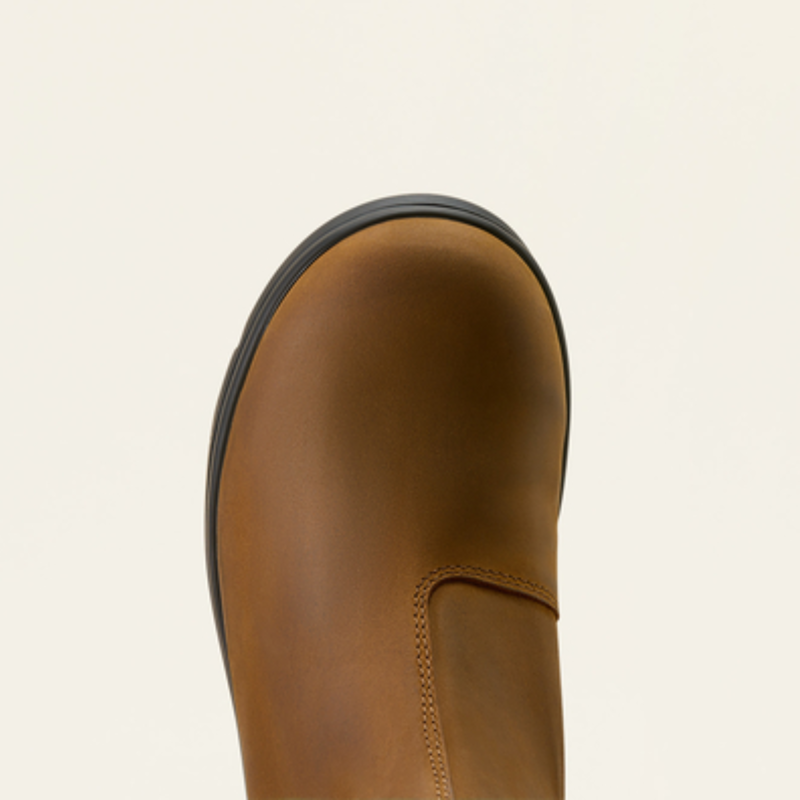 Ariat Youth Whitby - Chocolate-5