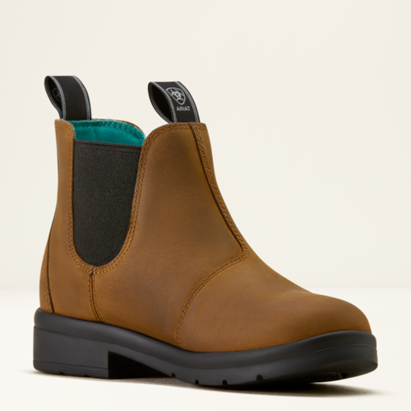 Ariat Youth Whitby - Chocolate-1