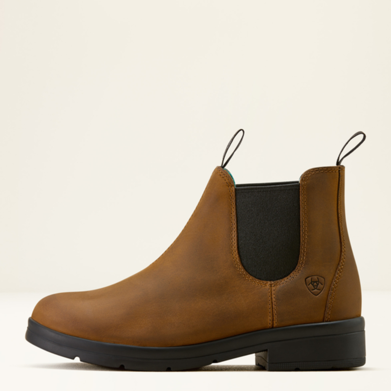 Ariat Youth Whitby - Chocolate-3