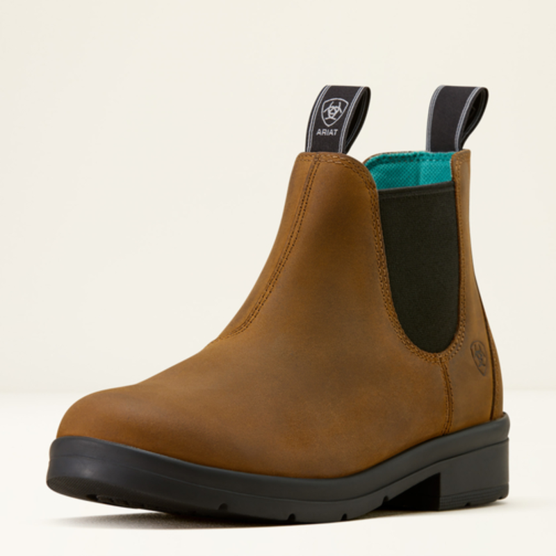 Ariat Youth Whitby - Chocolate-2