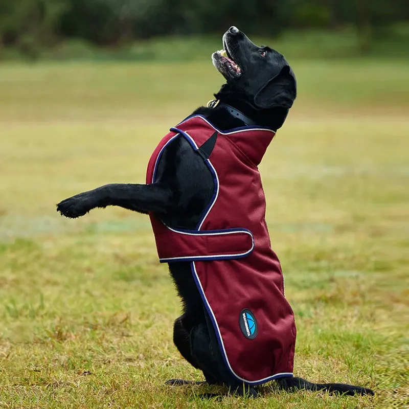 WeatherBeeta ComFiTec Premier Deluxe Waterproof Dog Coat - Burgundy/Navy -2