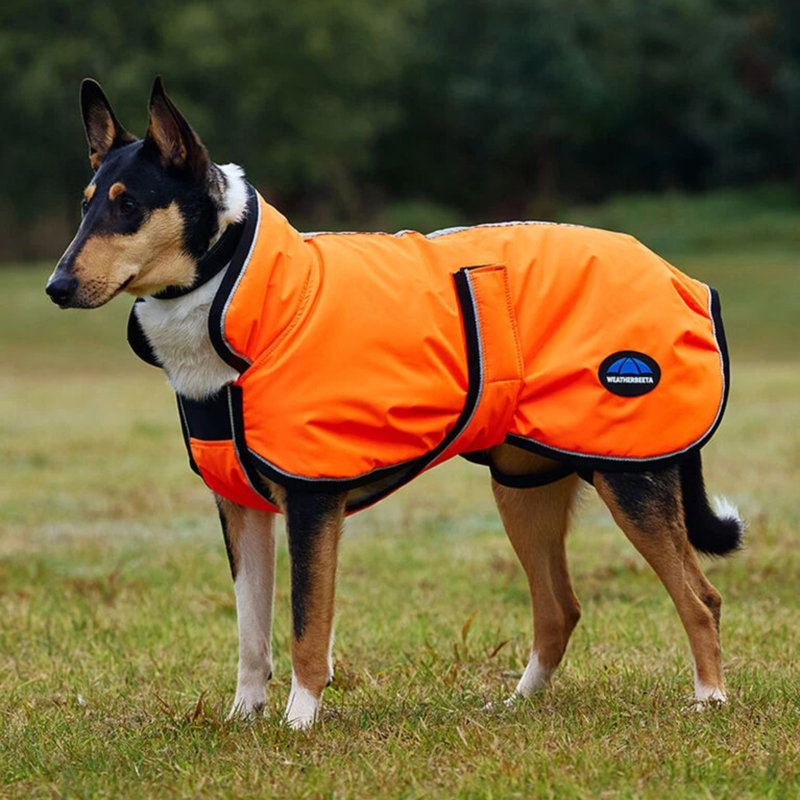 WeatherBeeta ComFiTec Reflective 300D Deluxe Showerproof Dog Coat - Orange-2