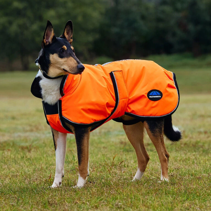 WeatherBeeta ComFiTec Reflective 300D Deluxe Showerproof Dog Coat - Orange-3