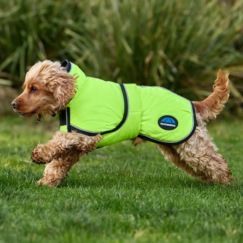 WeatherBeeta ComFiTec Reflective 300D Deluxe Showerproof Dog Coat - Yellow-1